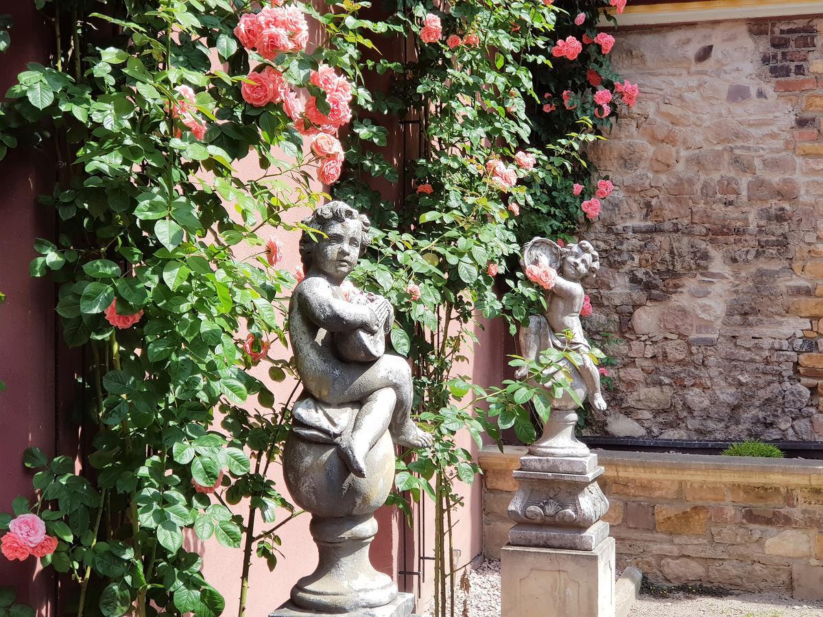 Le 1615 - Luxe Et Spa Colmar Eksteriør bilde